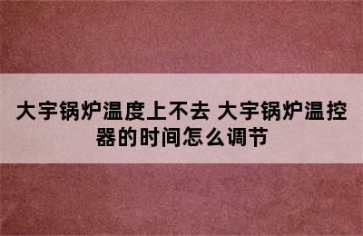 大宇锅炉温度上不去 大宇锅炉温控器的时间怎么调节